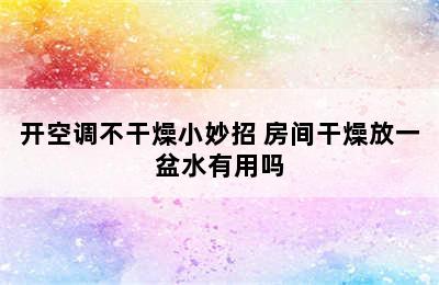 开空调不干燥小妙招 房间干燥放一盆水有用吗